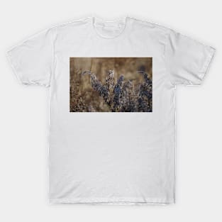 Autumn's Last Breath T-Shirt